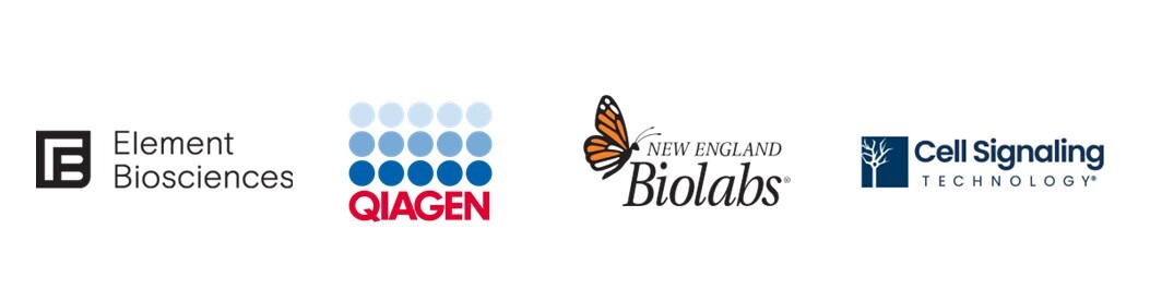 logos Werfen AS